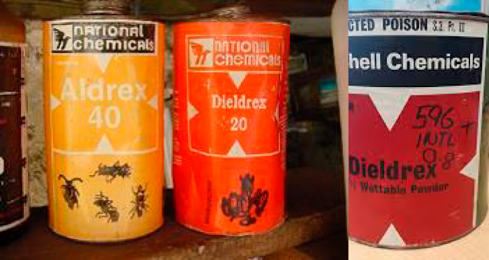 Aldrín y dieldrín img
